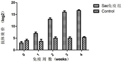 一种猪链球菌截短蛋白Sao及应用