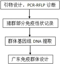 猪ESR1基因作为免疫性状相关的分子标记及其应用