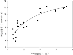 一种基于叶片紧张度变化的光合作用预测方法