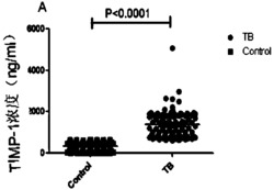 肺结核相关血清标识蛋白TIMP-1及其应用