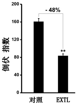 利用伸展蛋白提高水稻茎秆抗倒伏能力的方法