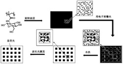 具有荧光效应的碳纳米点光刻胶及其成像方法