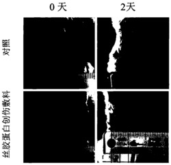 一种丝胶蛋白创伤敷料及其制备方法和应用