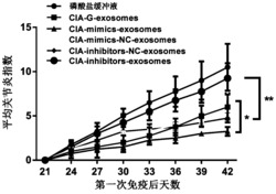 一种exosomes装载的miR-93-5p在治疗类风湿性关节炎中的应用