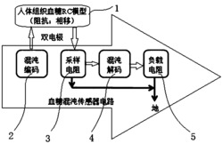 一种血糖无损检测的混沌编解码方法