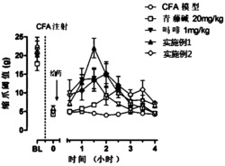 一种镇痛药物组合物