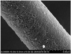 一种碳纤维表面包覆磁性铁氧体纳米碳管的吸波材料及其制备方法和应用