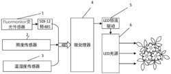 一种基于实际光合效率的LED补光控制系统及控制方法