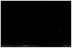 一种除虫脲磁性双螺旋碳纳米管表面印迹材料及其制备方法和应用