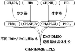 大尺寸混合卤素甲胺铅溴氯晶体的制备方法
