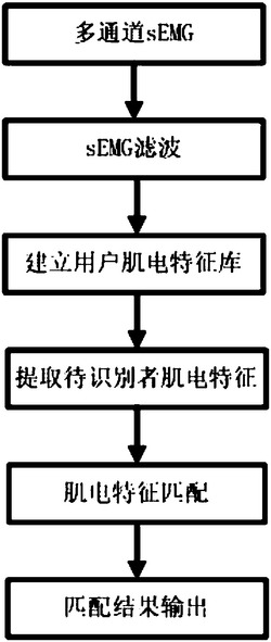 基于多通道表面肌电信号的身份识别方法