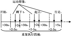 基于大脑血红蛋白信息的想象运动阶段的蹲起走状态的识别方法