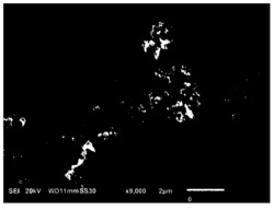 一种2-甲基咪唑基多级孔催化剂碳材料的制备方法及其用途