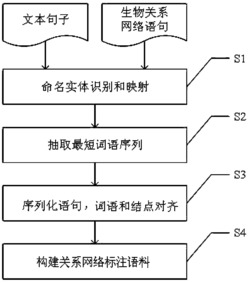 面向句子级生物关系网络抽取的语料库生成方法及系统