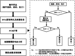 一组鉴定鳖甲的特异性引物及其鉴定方法