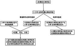 一种无染色、无探针、无损检测细胞或类细胞结构微生物的类型及其周期的方法