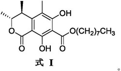 一种多取代异香豆素衍生物的合成方法及其应用