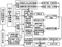 一种基于micro-CT和偏振-高光谱成像多特征融合的番茄苗期水分胁迫检测方法