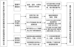 一种基于多尺度生境信息的苗期作物水肥检测和控制方法及装置