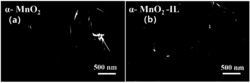 锰氧化物一维纳米线的制备方法