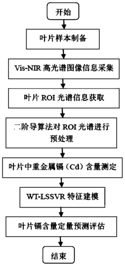 一种基于WT-LSSVR的叶片镉含量Vis-NIR光谱特征建模方法