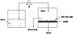 一种利用酶膜反应器超滤脱黄浆水中蛋白质的方法