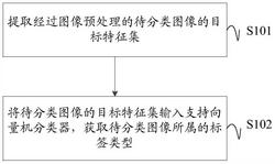 一种图像分类方法、系统、设备及计算机可读存储介质