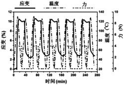 一种自修复型可重塑形多重形变热固性形状记忆树脂材料