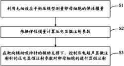 基于卵母细胞弹性模量的压电超声显微注射方法