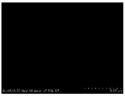 一种纳米线光催化剂及其制备方法与应用