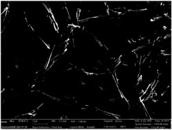 一种用于碱性电催化析氢的磷化钼/碳复合纳米材料