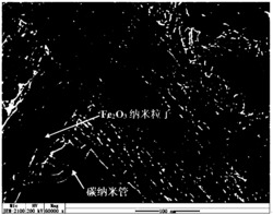 一种Fe2O3/碳纳米管复合材料的制备方法及其应用