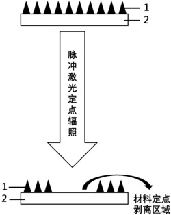 原位无损剥离量子点的方法