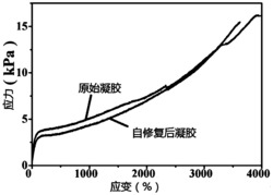 基于动态共价交联剂的可拉伸自修复水凝胶及其制备方法