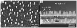 一种TiO2纳米柱-Au纳米粒子复合阵列、制备方法及其应用