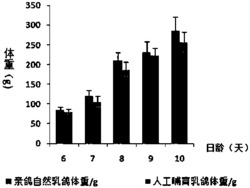 6-10日龄生物发酵人工鸽乳及其制备方法