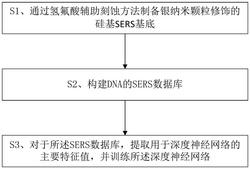 一种用于人工智能检测DNA的硅基SERS芯片DNA数据库构建和训练的方法