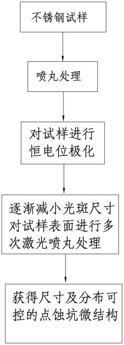 一种不锈钢电化学极化制备表面微结构的方法