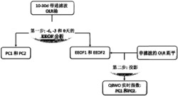 一种基于EEOF准双周振荡实时指数的提取方法