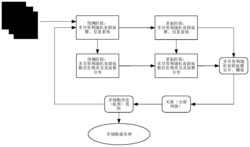 多贝努利随机有限蚁群多细胞跟踪方法