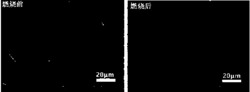 黏土/海藻酸钠复合气凝胶阻燃材料及其制备方法