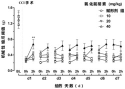 氧化前胡素的新用途