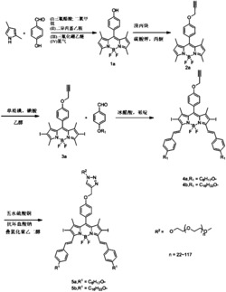 纳米光敏剂及其制备方法和应用