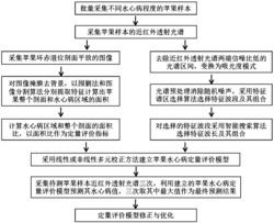 一种苹果水心病的透射光谱无损定量评价方法