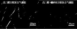 凹土-壳聚糖复合凝胶及其制备方法