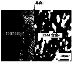 一种TZM合金薄板表面硅化物涂层的制备方法