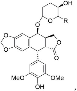 2，3，6-三脱氧糖基去甲表鬼臼毒素化合物及其制备方法和用途