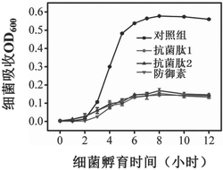 一种抗菌肽、抗菌肽水凝胶及其制备方法