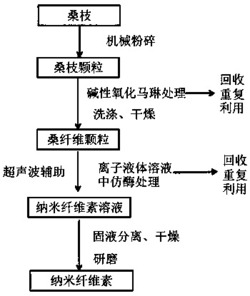 一种桑纤维来源的纳米微晶纤维素的制备方法