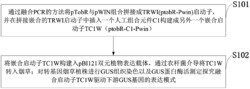 一种人工嵌合启动子及其构建方法